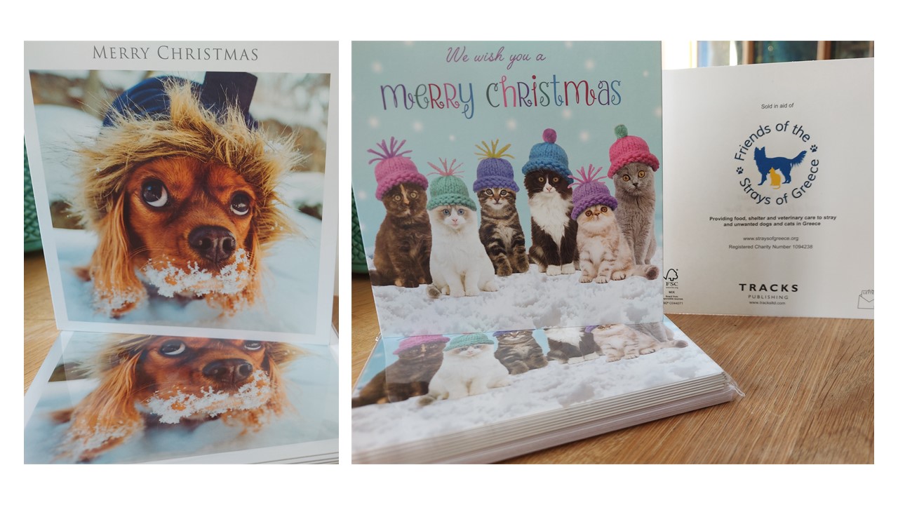 44+ Veterinary Christmas Cards 2021